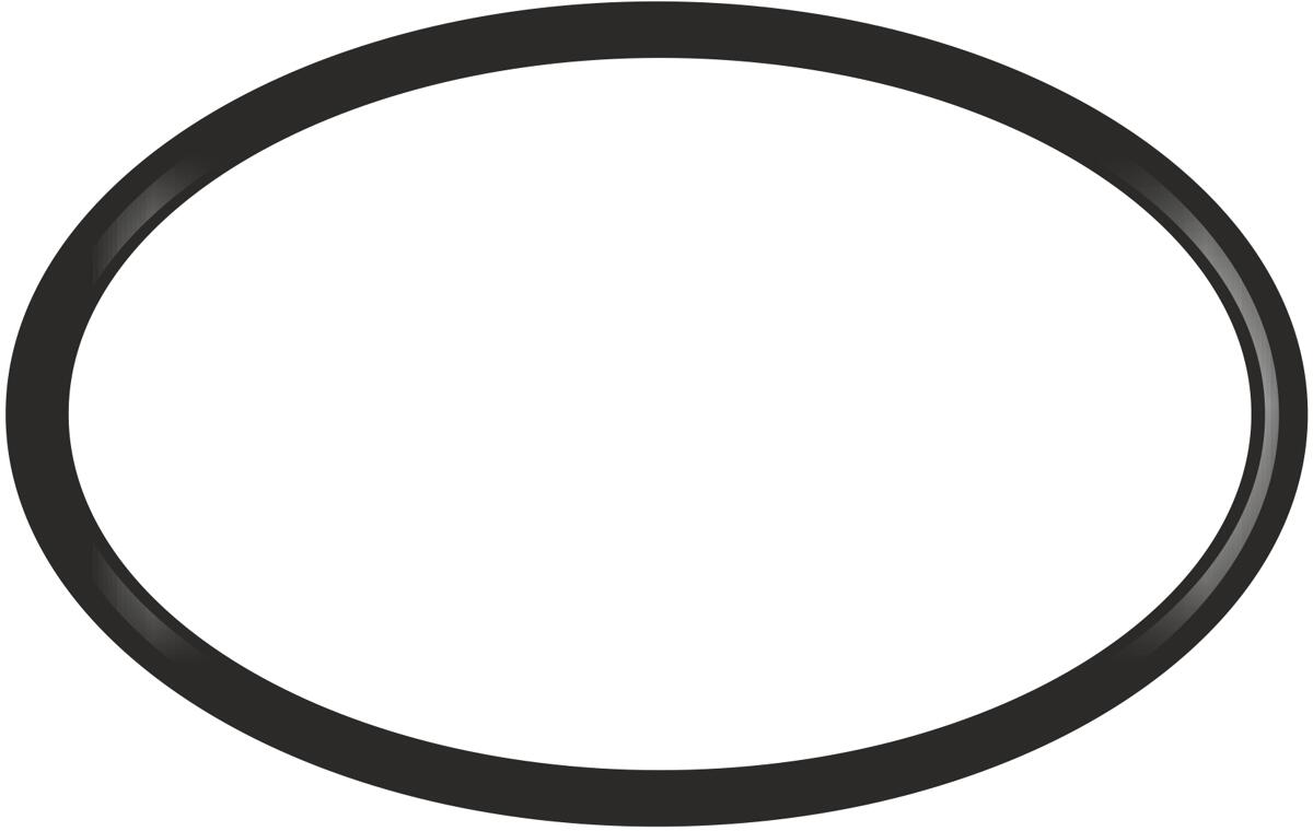 Pentair O-Ring für Dosierdeckel, Dosieranlage Rainbow, schwarz