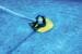 Interline Stingray Bodensauger Poolreiniger, hydraulisch, blau/gelb