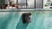 Beatbot Sora P1 Poolroboter für Schwimmbecken bis 210m²