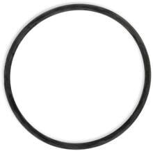 Trend Pool O-Ring zu Filterkessel für Trend Top Filteranlagen, Teile Nr. 3, schwarz