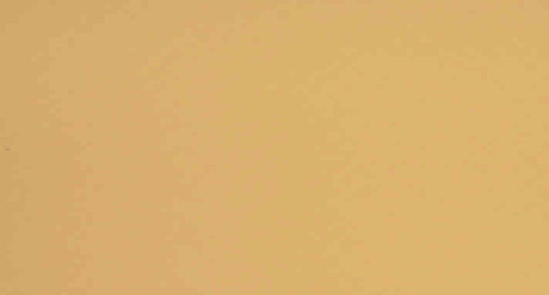 Future Pool Innenhülle Family für Achtformbecken, Stärke 0,8mm, 855x500x120cm, sand