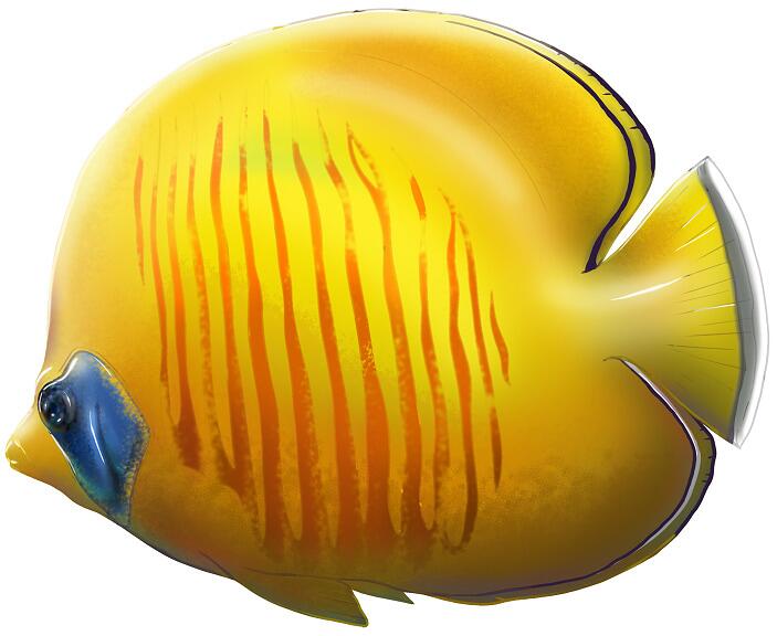 Poolaufkleber Dekosticker, Serie Ocean, Kaiserfisch, Größe L, 400mm, Standard