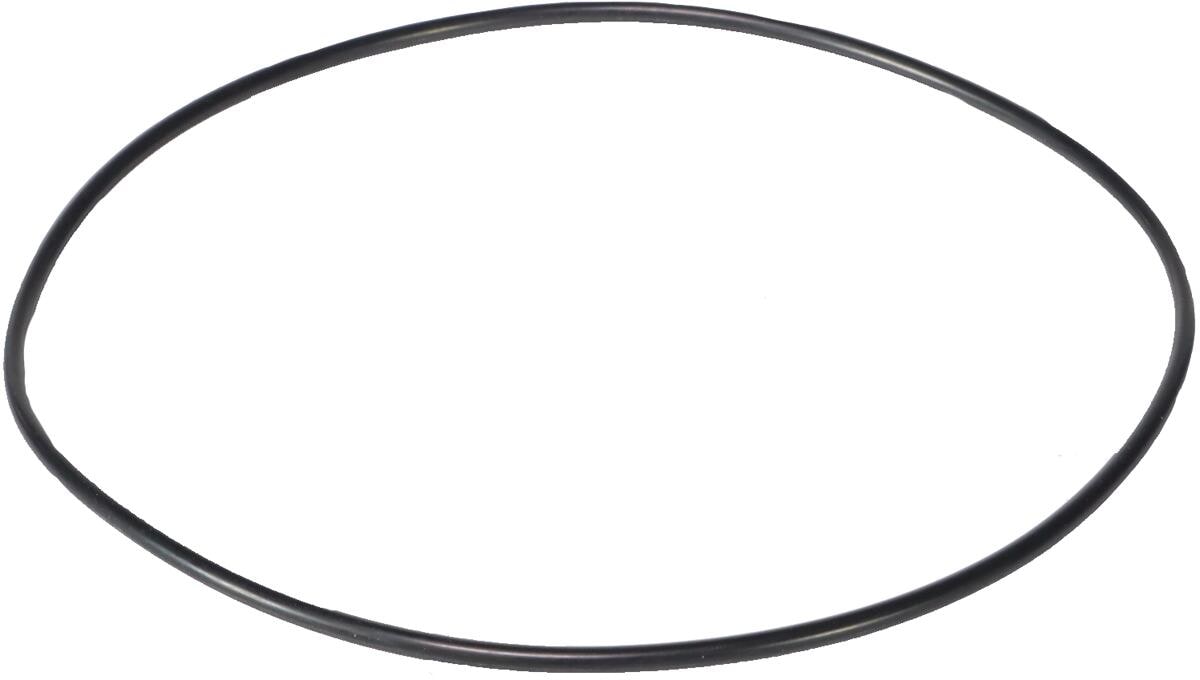 Pentair ORing Pumpengehäuse Poolpumpe Swimmey HelloPool