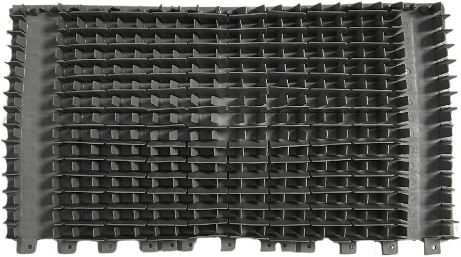 Maytronics Dolphin Aquanura Deluxe Wunderbürste, 1 Paar