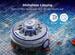 Gre RBR120 Wet Runner Plus XPert Poolreinigungsroboter für Schwimmbecken bis 60m², akkubetrieben, grau/blau