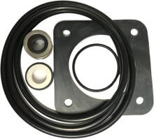 Pentair Sta-Rite Dichtungssatz, für 5P2R Poolfilterpumpen ab 2008, Komplettset