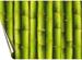 Seitenwandaufkleber für Stahlwandpool, Bambus grün A7