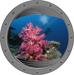 Poolaufkleber Dekosticker, Fotomotiv Bullauge 4, Koralle pink, Ø 800mm, Premium