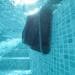 Maytronics Dolphin Liberty 200 Pool-Roboter Bodensauger, 15m³, schwarz