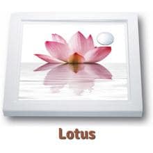 Anti-Rutsch Aufkleber Poolmatte, Lotus, 550x550mm
