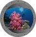 Poolaufkleber Dekosticker, Fotomotiv Bullauge 4, Koralle pink, Ø 1000mm, Standard