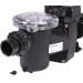 Pentair FFL-051 FreeFlo Filterpumpe, selbstansaugend, 0,375kW, 6m³/h, schwarz