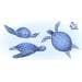DesignSkin Pooldekoration Bodenmatte, M10 Schildkröten