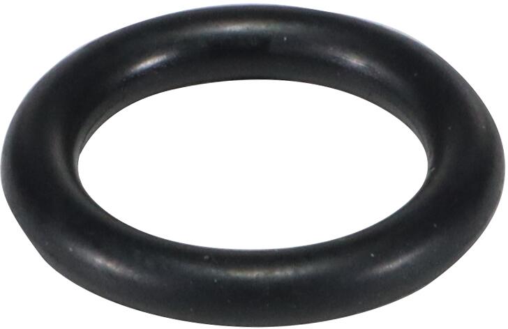 Trend Pool O-Ring für Entleerungsschraube Poolpumpe Aqua Star Pro 9/13