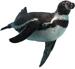 Poolbodenmotiv, Poolaufkleber Fotomotiv B70, Pinguin