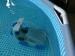 Interline Snapper Poolreinigungsroboter für Schwimmbecken bis 17m², akkubetrieben, weiß/blau