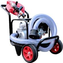Poolex Pool Stop Fire Brandschutz-Set, Durchfluss 36m³/h, 4-Takt Verbrennungsmotor 6,5 PS