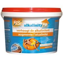 BSI Alkalinity Plus Alkalinitätsheber, Pulver, 5 kg